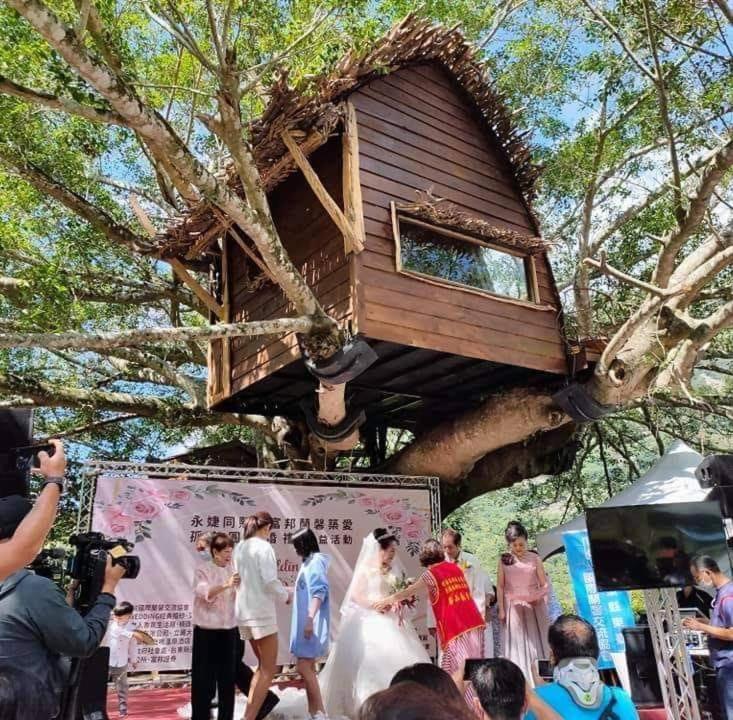 卡米莎度樹屋園區