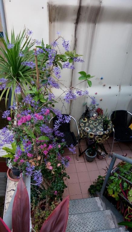森の屋